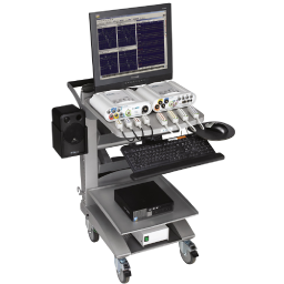 Neuromonitorización